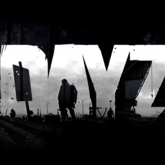 The Memoirs of DayZ The Memoirs of DayZ