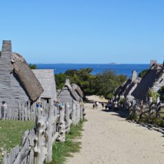 Banished: Towards a Playable Human Ecology Banished: Towards a Playable Human Ecology
